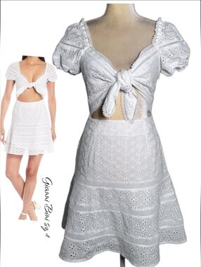 NWT Gianni Bini A-Line Mini Dress Sz 4